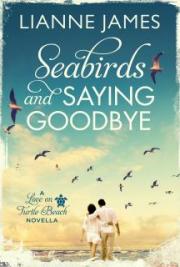 Seabirds and Saying Goodbye
